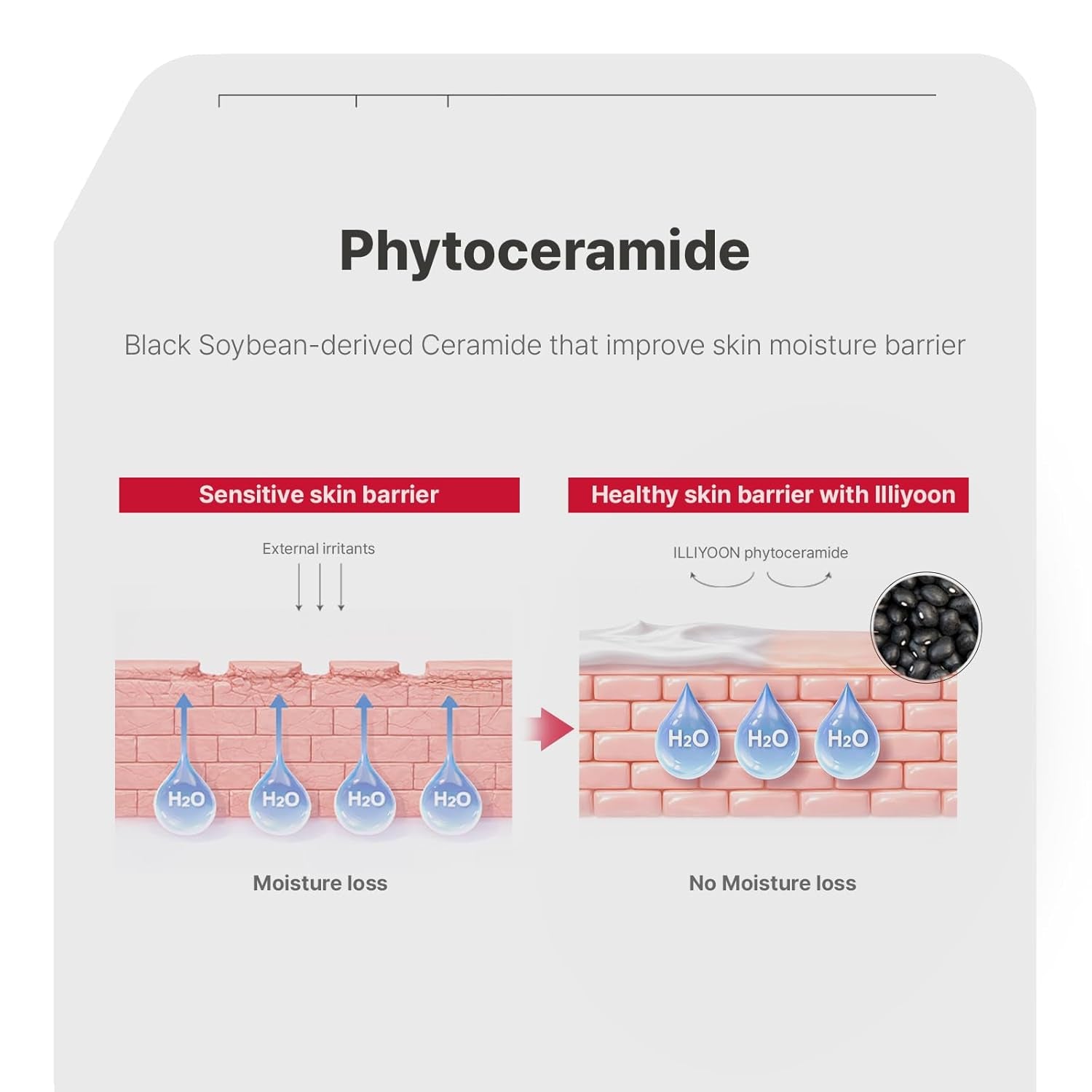 Ceramide Ato Concentrate Cream | Moisturizer for Dry & Sensitive Skin, 100Hr Lasting Hydration, for Face & Body, Gentle for Infants, Moisture Barrier Repair, Vegan Certified, 6.76 Fl.Oz.